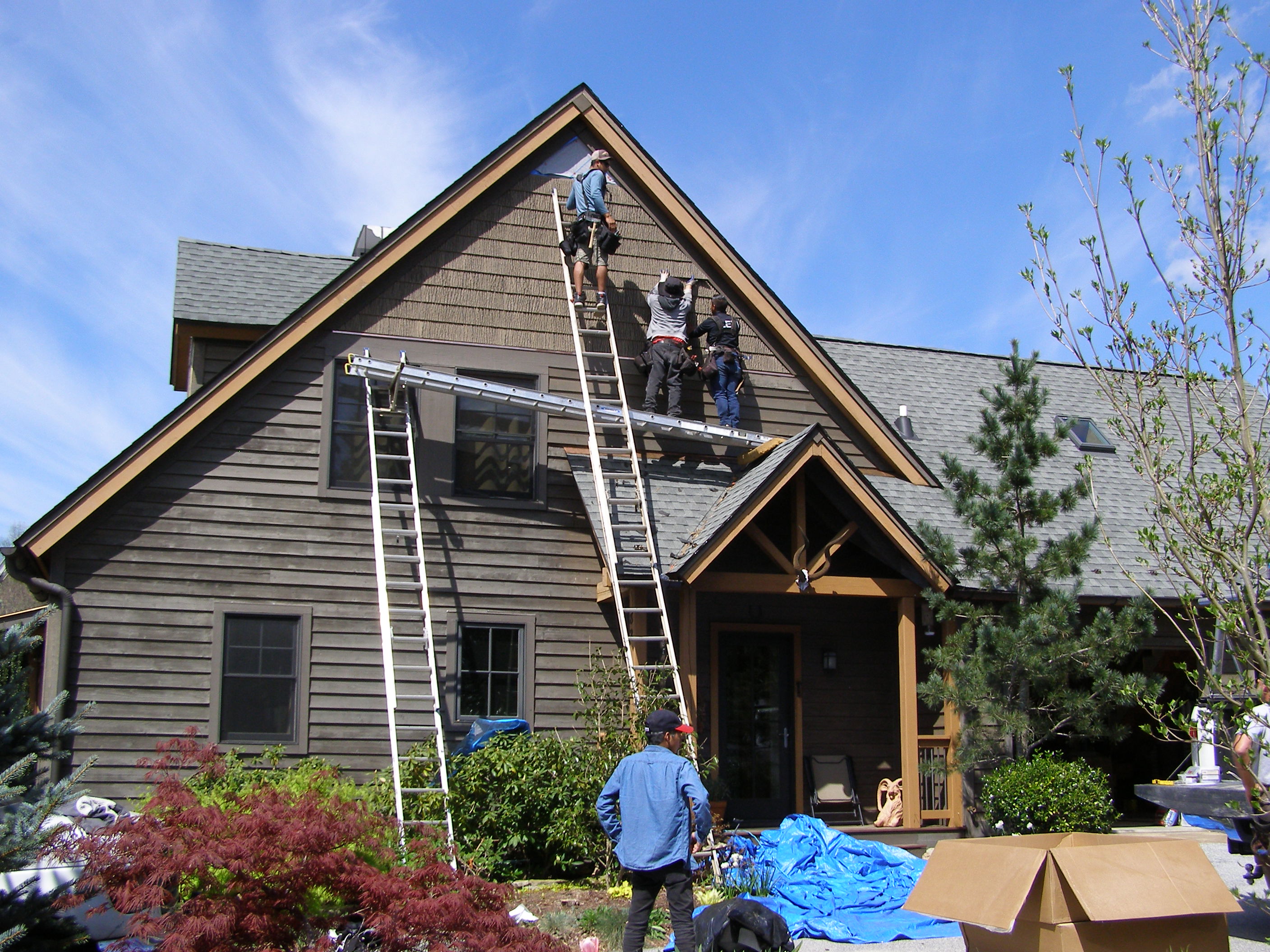 SmartBark blog — big-dan-install-in-timber-brown