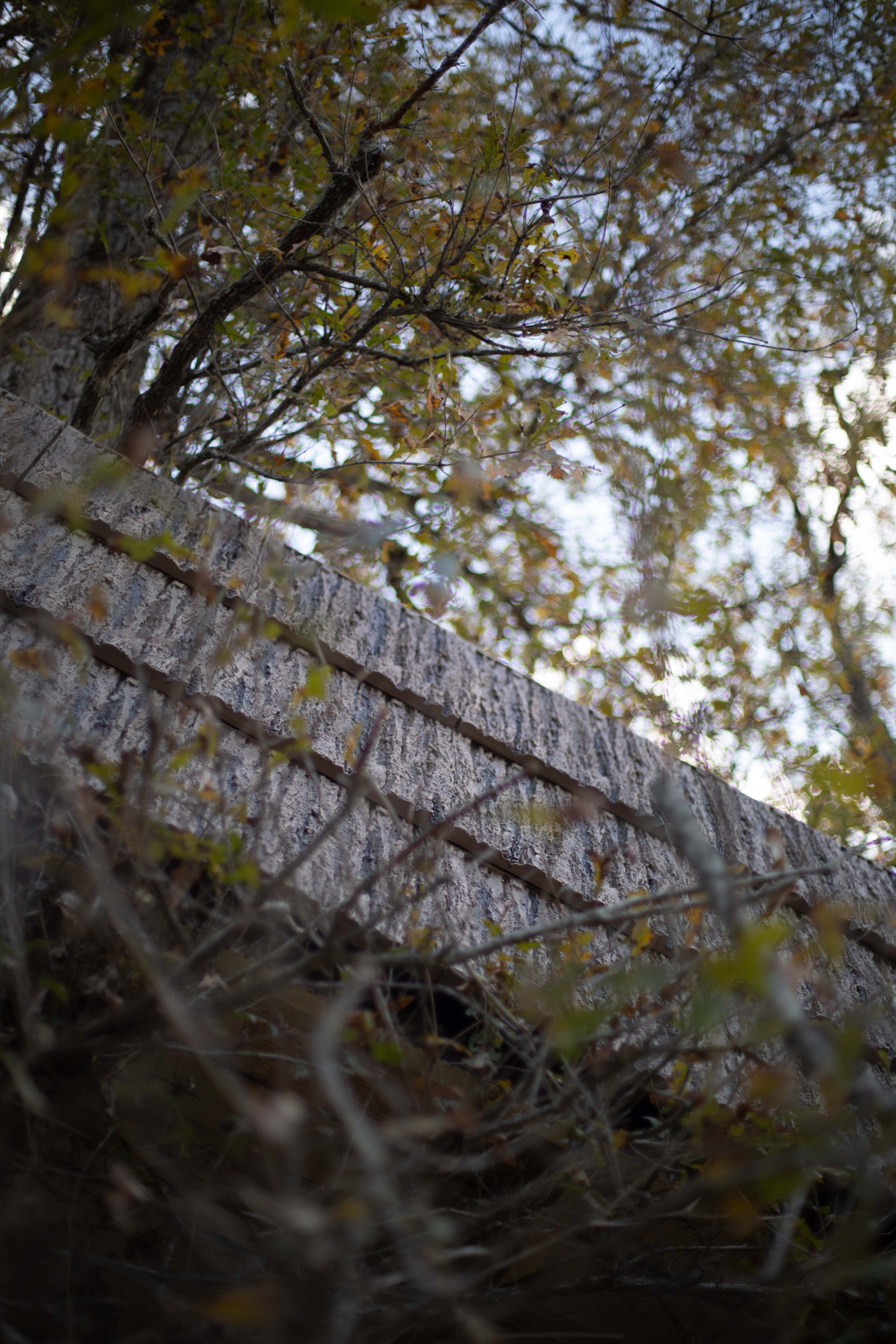SmartBark blog — cojo-mfg-duck-blind-smartbark-faux-bark-siding