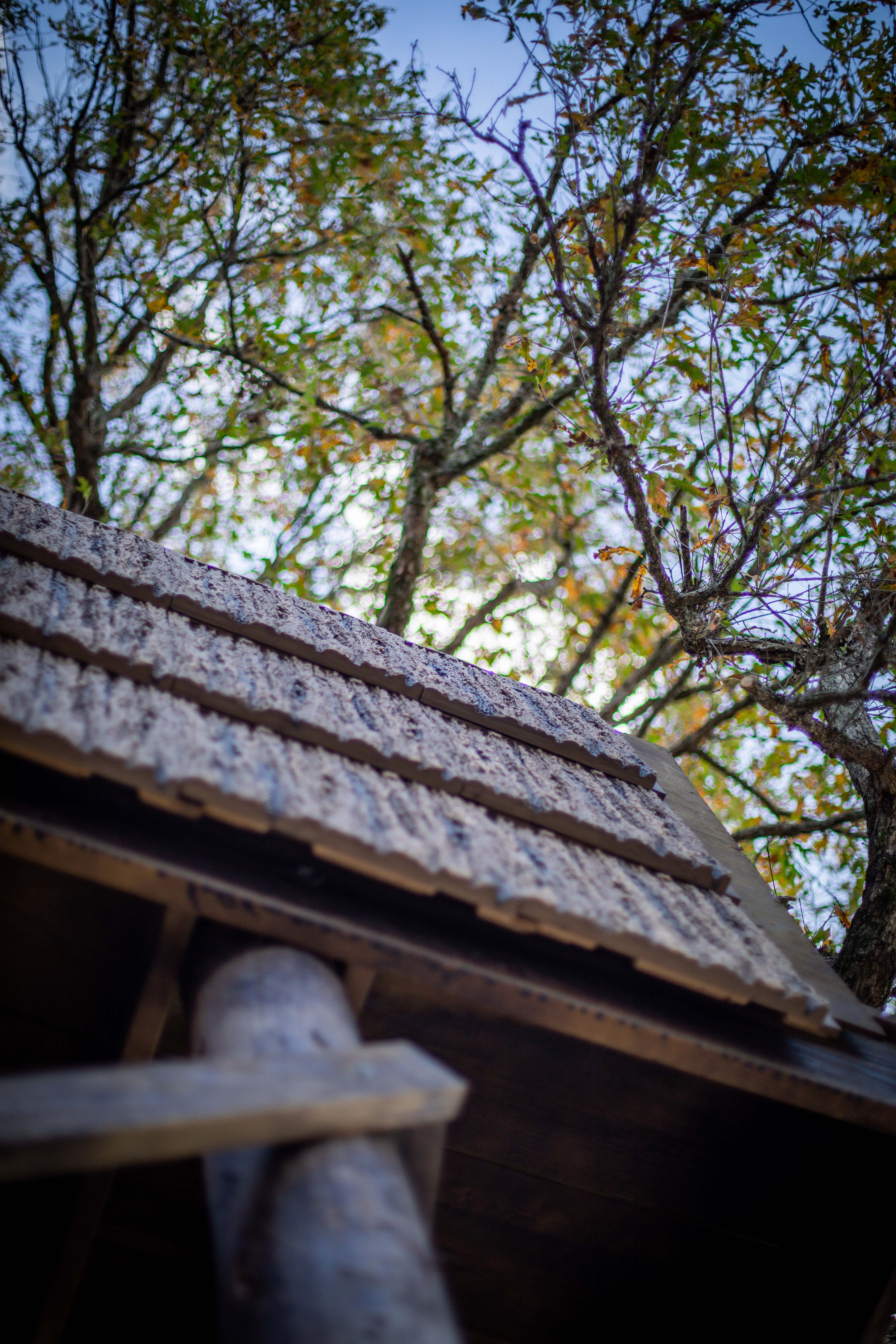 SmartBark blog — cojo-mfg-duck-blind-smartbark-faux-bark-siding