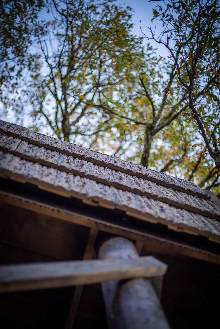 SmartBark Bark Siding | Hunting Blinds | Duck Hunting