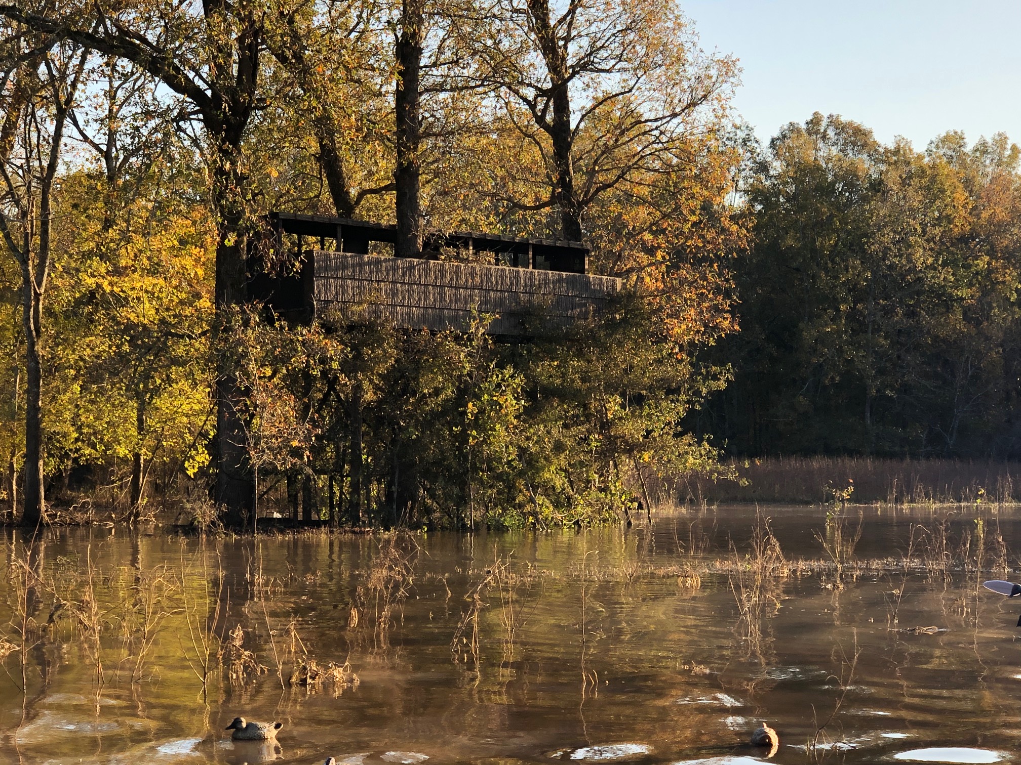 SmartBark blog — smartbark-bark-siding-hunting-blinds-duck-hunting